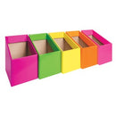 Elizabeth Richards Book Box 17 x 25 x 28cm Assorted Fluoro Pack 5