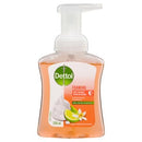 Dettol Antibacterial Foaming Hand Wash Lime and Orange 250ml