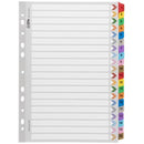 Icon Indices Cardboard Reinforced Tabs 1-20 A4 Coloured
