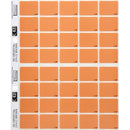 Filecorp C-Ezi Lateral File Labels Colour Flash 24 x 31mm Light BrownSheet 40
