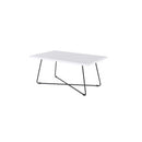 Zion Coffee Table 1000W x 600D White / Black