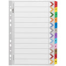 Icon Indices Cardboard Reinforced Tabs 1-12 A4 Coloured