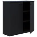 Pryme Storage Cabinet Hinged Door Non Locking 1200Wx1200H Black