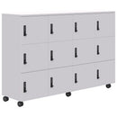 Mascot Locker Mobile 3H X 4W Digital Locking
