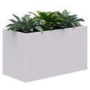 Rapid Planter w/ Leafy Plants 900Wx600Hmm White