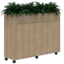 Mascot Locker/planter Mobile 2H X 4W Keyed Locking