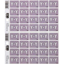 Filecorp C-Ezi Lateral File Labels Alpha Letter Y 24 x 31mm Grey Sheet 40