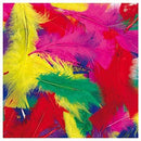 5 Star Feathers Assorted Colours Pack 45