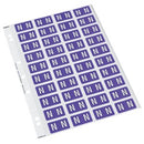 Codafile Lateral File Labels Alpha Letter N 25mm Sheet 40