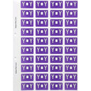 Filecorp ColourFind Lateral File Labels Alpha Letter Y 25 x 42mm Purple Sheet 40