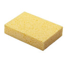 Raven Bailer Sailor Sponge