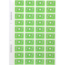 Filecorp ColourFind Lateral File Labels Alpha Letter Z 25 x 42mm LightGreen Sheet 40