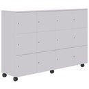 Mascot Locker Mobile 3H X 4W Keyed Locking