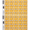 Filecorp C-Ezi Lateral File Labels Alpha Letter R 24 x 31mm Yellow Sheet40