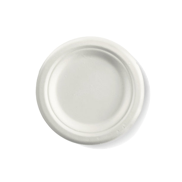 Biopak Biocane Plate 6inch 160mm Carton 1000